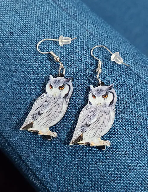 02 E245 Owl Acrylic Earrings Earrings