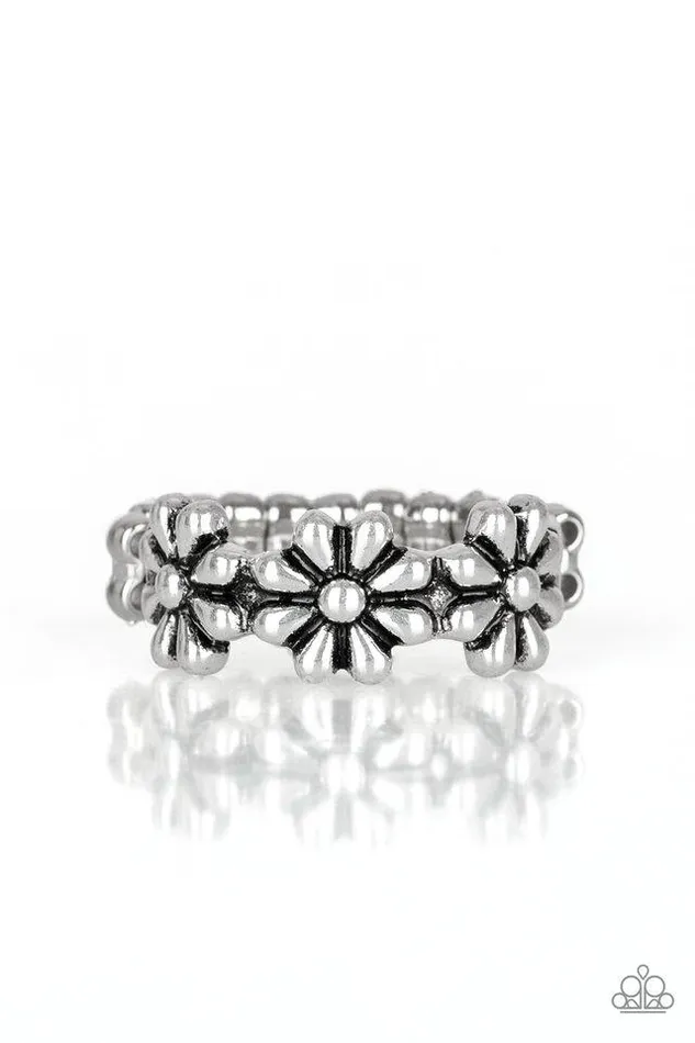 Paparazzi Jewelry Rings Paparazzi Ring Daisy Dapper Silver