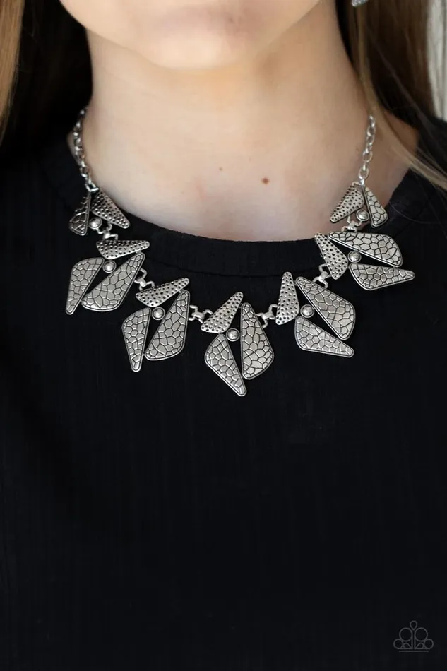 Paparazzi Necklace Extra Expedition Silver Paparazzi Jewelry Necklaces