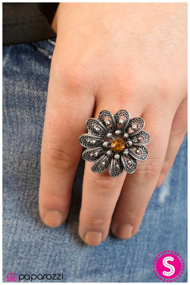 Paparazzi Ring Grown So Fond Of You Brown Paparazzi Jewelry Rings