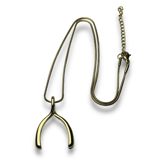 Necklaces MyCONQUERing Wishbone Interchangeable Necklace
