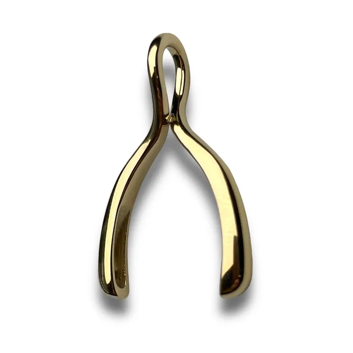 Wishbone Necklace Pendant CONQUERing Necklaces