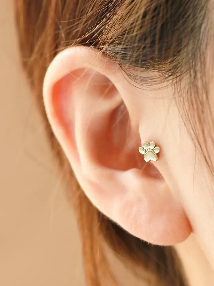 MinimalBijoux Earrings 14K Gold Dogs Sole Cartilage Earring 18G16G