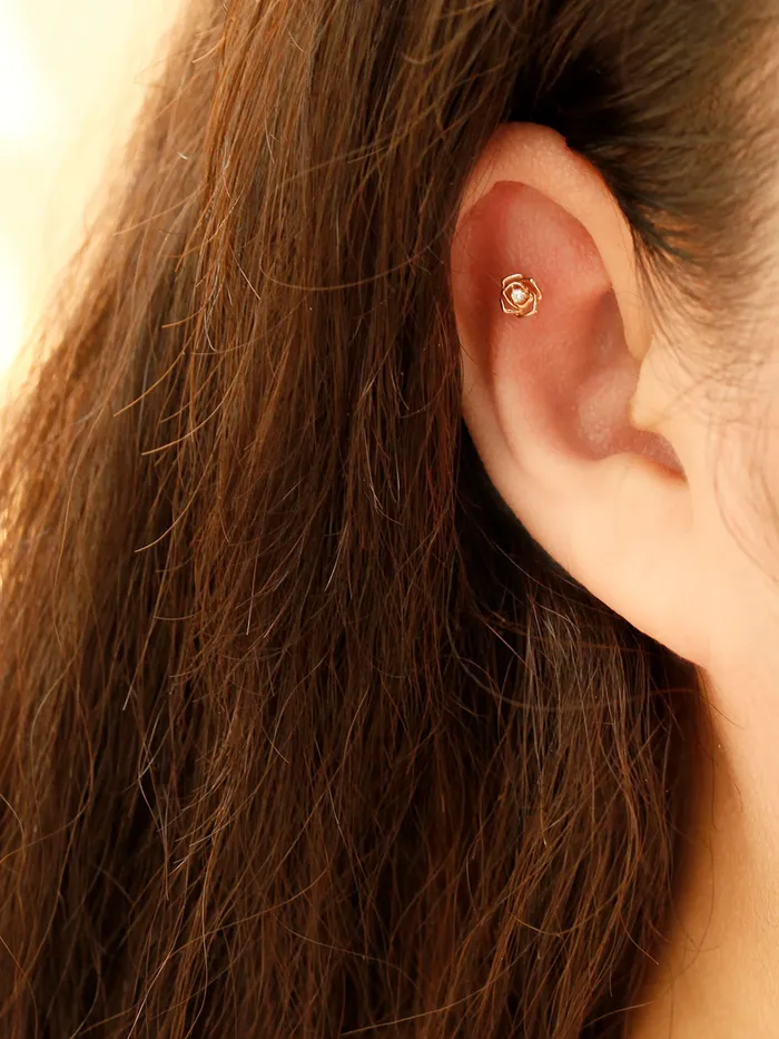 PreStyled Sets MinimalBijoux 14K Gold Mini Cubic Rose Internally Threaded Labret Piercing 18G16G