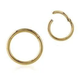 Rings 20g Zircon Gold Hinged Segment Ring Tulsa Body Jewelry