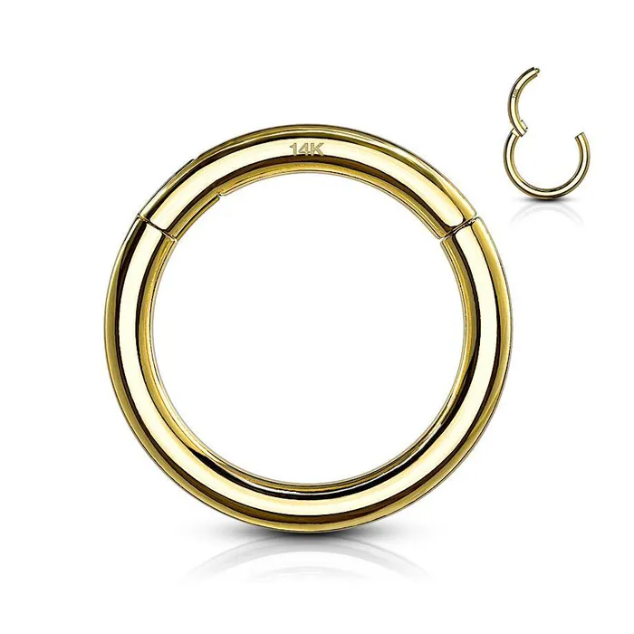 Tulsa Body Jewelry Rings 14g Yellow 14k Gold Hinged Segment Ring
