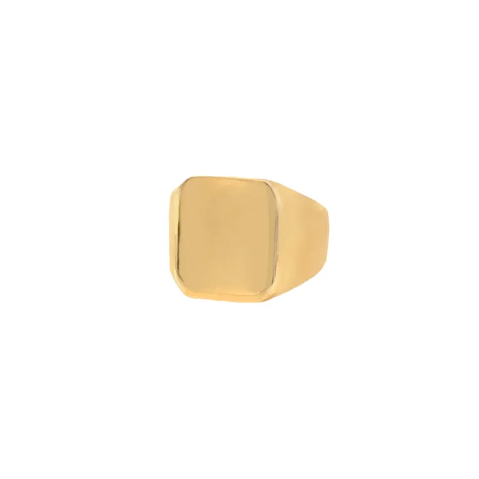 Classic Signet Ring VibeSzn Rings