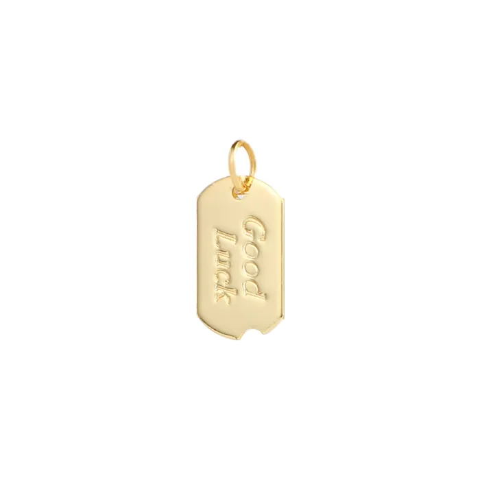 Good Luck Charm VibeSzn Charm Necklaces